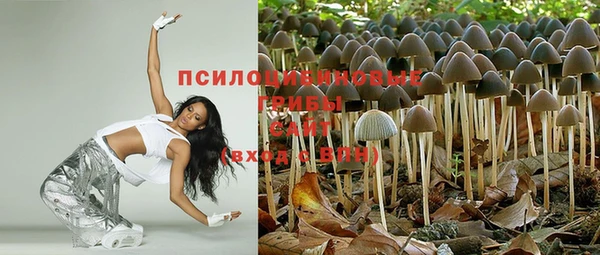 мет Бронницы