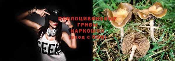 ПСИЛОЦИБИНОВЫЕ ГРИБЫ Бугульма