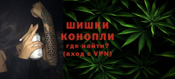 ПСИЛОЦИБИНОВЫЕ ГРИБЫ Бугульма